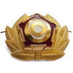 Russian Vohr Militarized Security Uniform Hat Badge