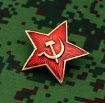 Soviet Badge Red Star Hammer Sickle
