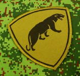 Spetsnaz Sleeve Patch Panther