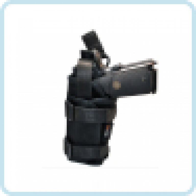 Gun Holsters