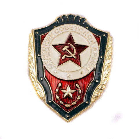 Excellent Soldier Award Badge