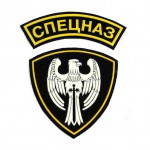 Ensemble de patch militaire Spetsnaz Falcon